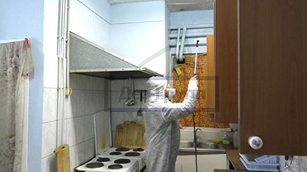 тараканы квартира1 тараканы квартира1